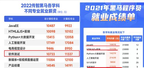 軟件開發(fā)與軟件測試 如何選擇適合你的網絡技術服務職業(yè)道路？